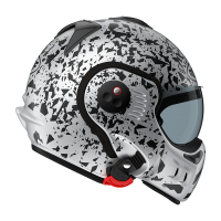 Boxer (dog breed) visual data 7