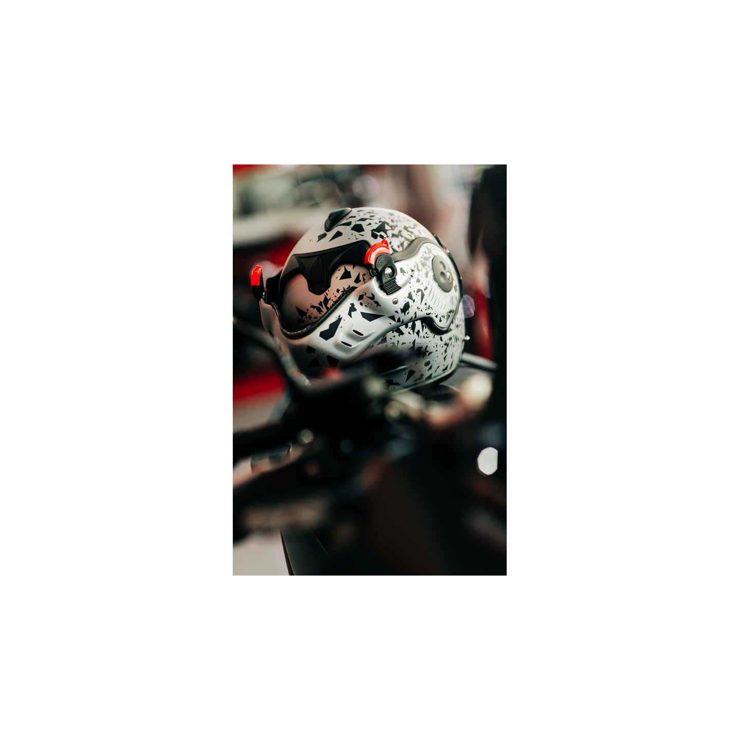 Boxer (dog breed) visual data 6