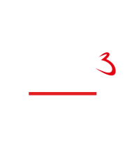 DESMO 3 CARBON